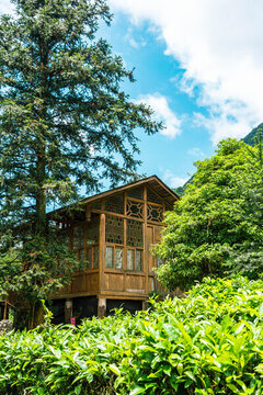 藍天白云小木屋