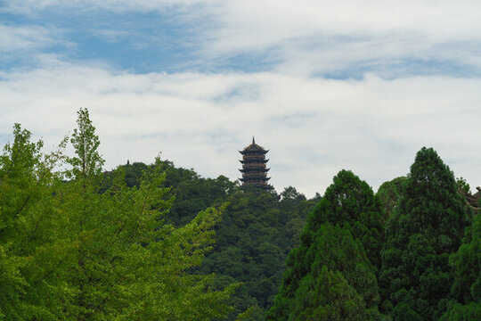 都江堰景區(qū)的景觀
