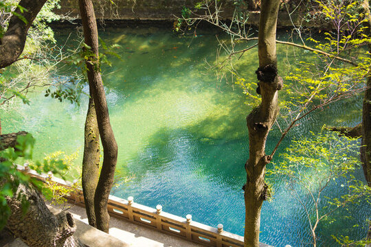 玉溪九龍池景觀
