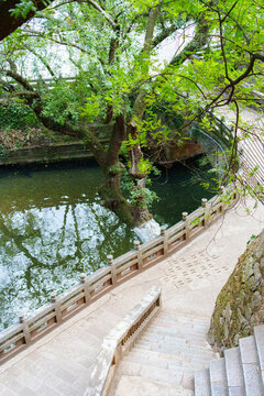玉溪九龍池景觀