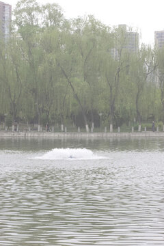 龍?zhí)洞荷? loading=