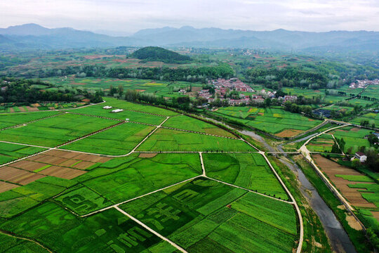田園風(fēng)光