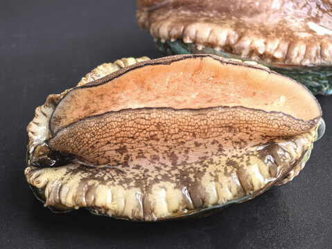 鮑魚肉