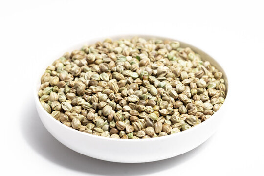 生麻子