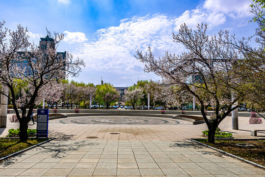 長春吉林大學(xué)前衛(wèi)校區(qū)建筑景觀