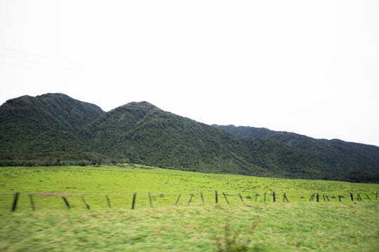 山脈綠草地