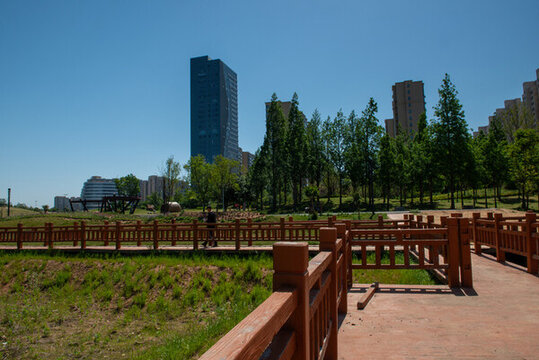 臨沭縣蒼源河公園一景