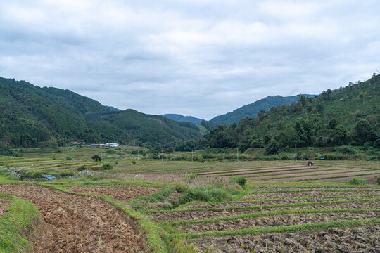 農(nóng)田和耕地的拖拉機(jī)