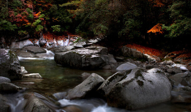 光霧山紅葉