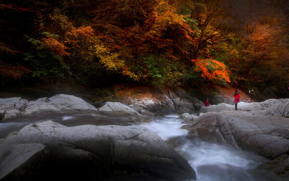 光霧山紅葉