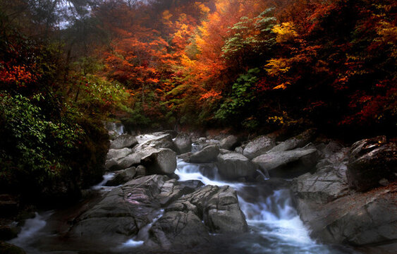 光霧山紅葉