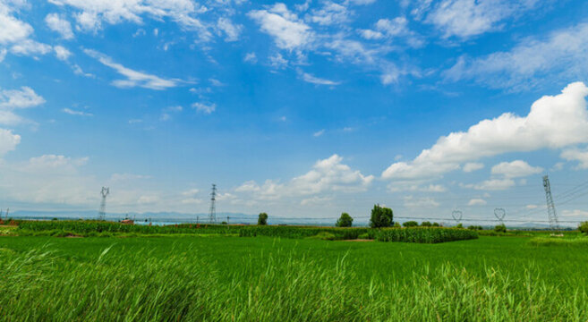 田園風(fēng)光