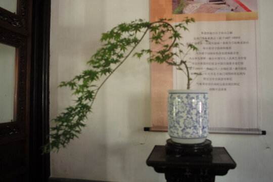 江南園林蘇州獅子林