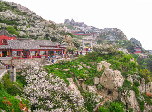 春天開(kāi)滿(mǎn)鮮花的泰山古建筑
