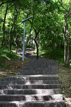 登山臺階