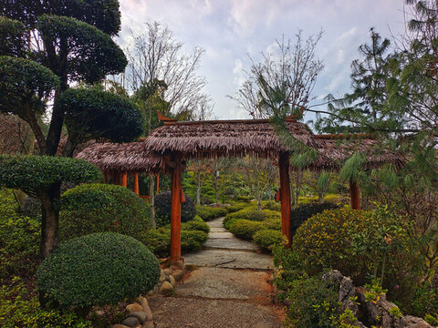云南省彌勒市太平湖森林公園小徑
