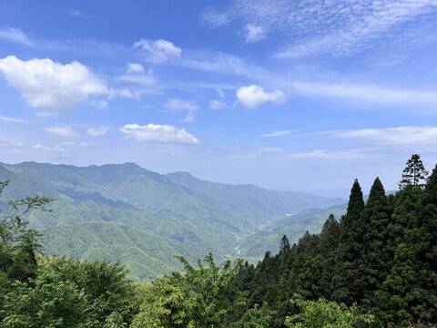 森林天空風景