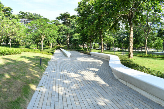 深圳前海公園里的人行道人長椅