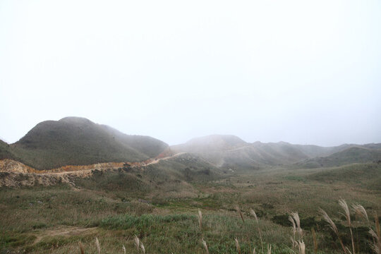 高山草甸芒花