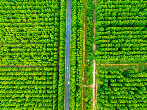 航拍下的森林與公路風光