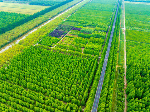 航拍下的森林與公路風(fēng)光