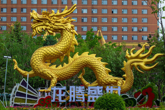 龍騰盛世