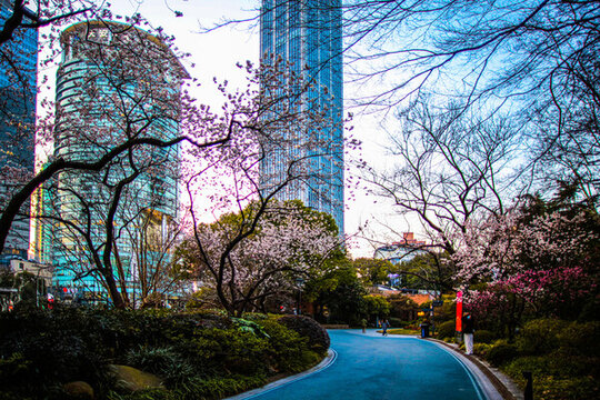 城市園林風(fēng)光