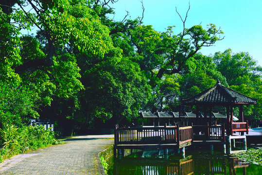 江頭村風(fēng)光