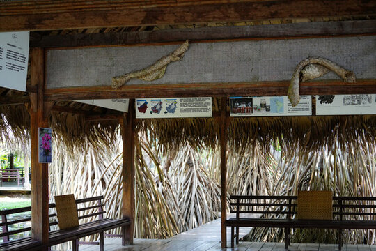 中科植物園里的休息區(qū)小屋