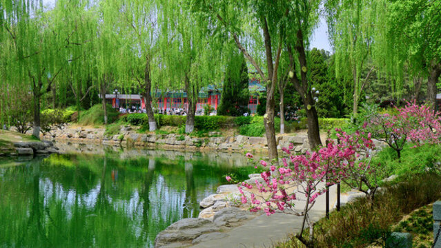 北京中山公園景觀
