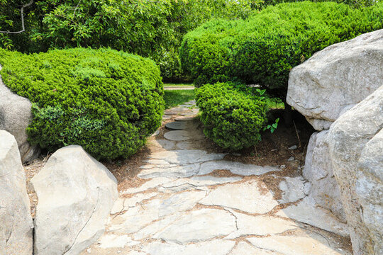 公園大石頭