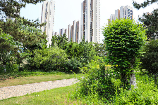 公園小路