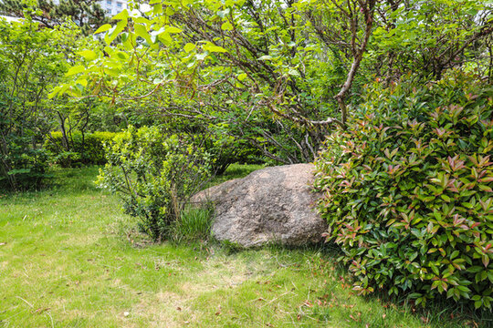 公園綠植