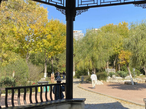 庭院景觀