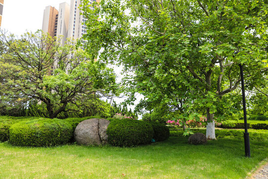 公園美景