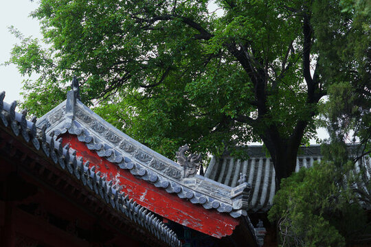 少林寺古建筑琉璃瓦
