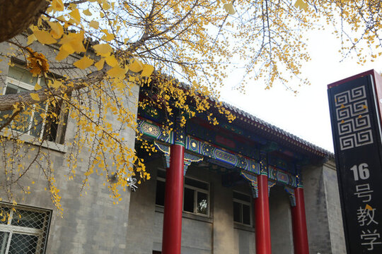 中央民族大學(xué)16號樓秋色