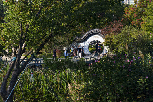 上海申園