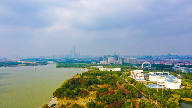 白鷺園水杉林