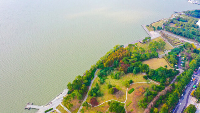 白鷺園水杉林