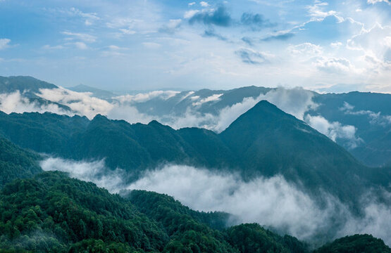 夏天森林云霧繚繞美麗風(fēng)景