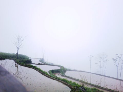 山區(qū)梯田