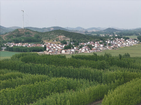 微山湖枊泉鎮(zhèn)套里村