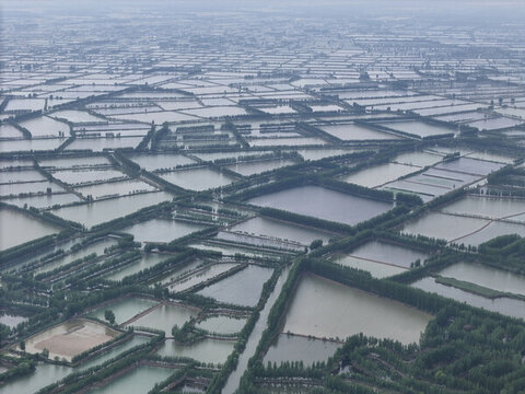 微山湖枊泉鎮(zhèn)套里村