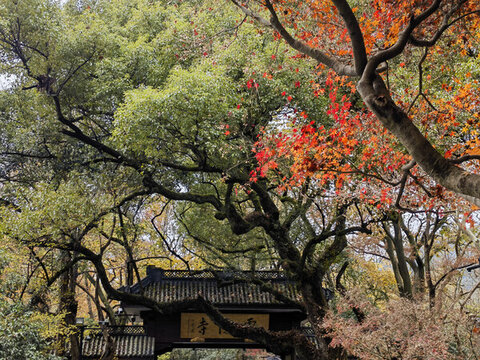 靈隱寺