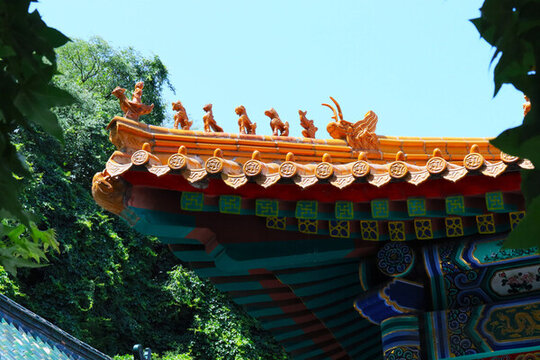 五脊六獸