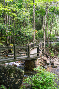 石橋