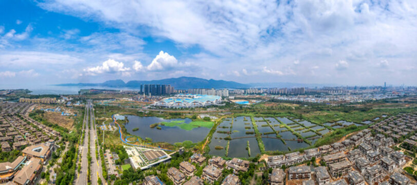 五甲塘濕地公園