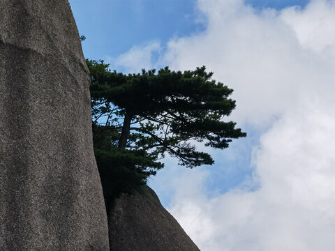 黃山蓮花峰