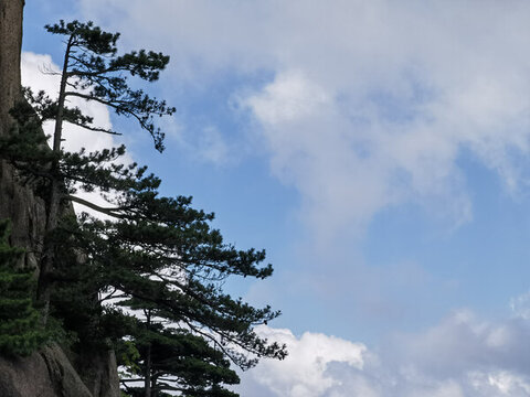 黃山蓮花峰